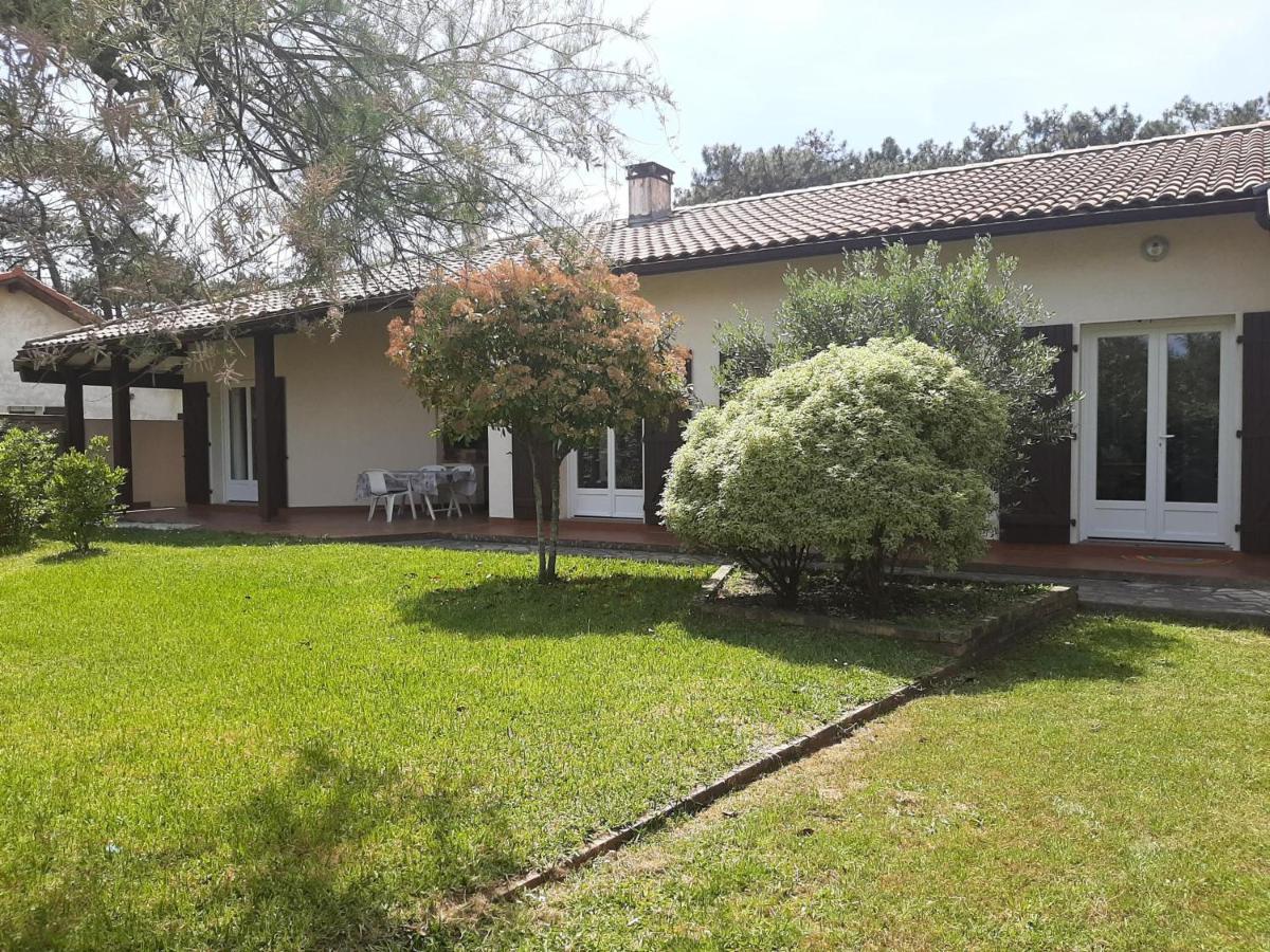 Maison 4 Chambres Avec Jardin Clos, Proche Plage Et Centre, A Vieux-Boucau - Fr-1-239-964 Buitenkant foto